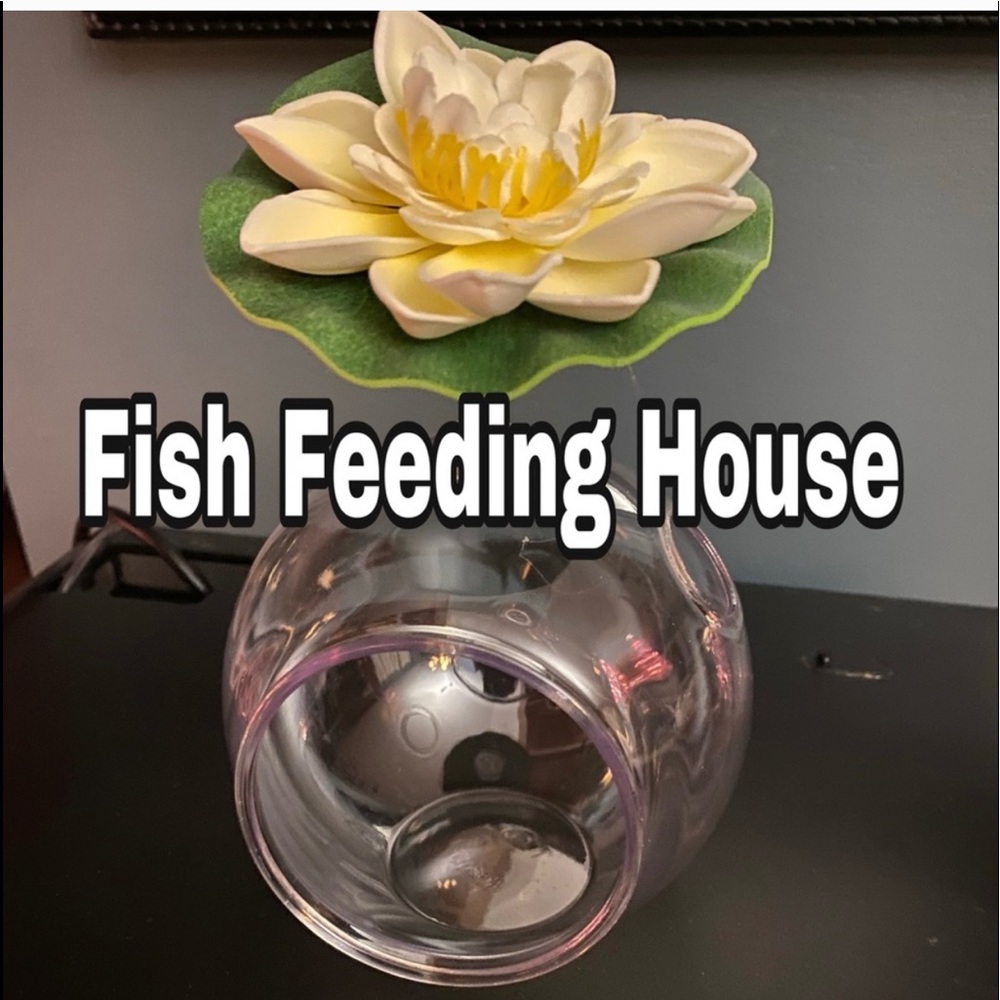 Fish Feeding and fun globe! 5 gallon & up